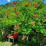 En Bord De Riviere * Bagneres-de-Luchon