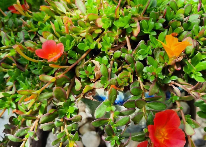 En Bord De Riviere *