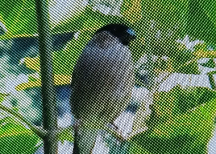 En Bord De Riviere Διαμέρισμα