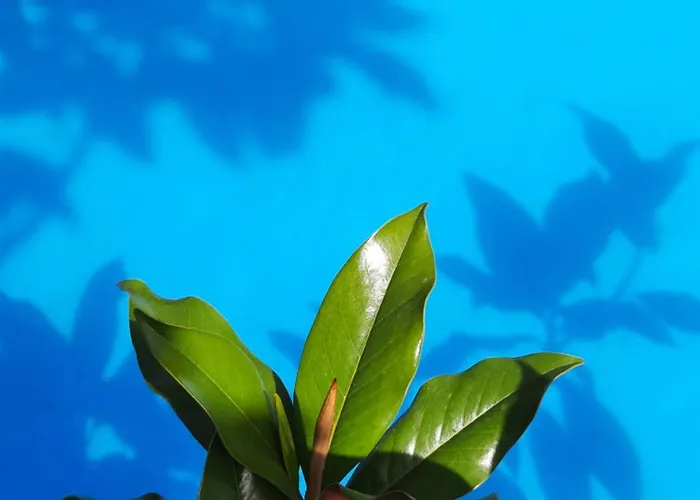 En Bord De Riviere Διαμέρισμα Bagnères-de-Luchon