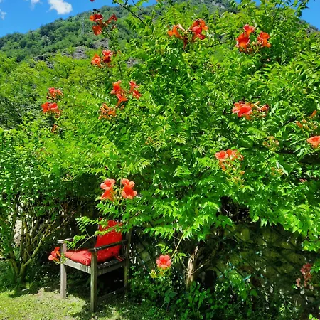 En Bord De Riviere * Bagneres-de-Luchon