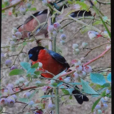 En Bord De Riviere *