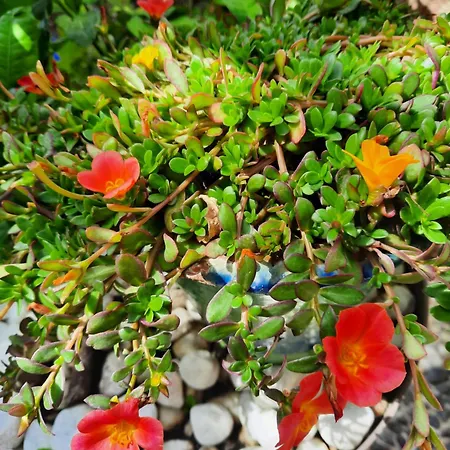 En Bord De Riviere *