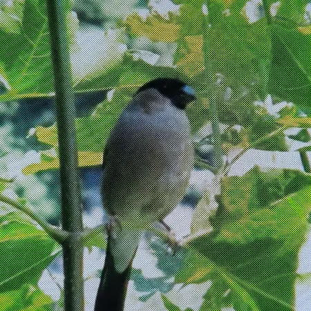 En Bord De Riviere Lägenhet