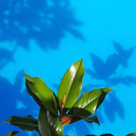 En Bord De Riviere Lägenhet Bagnères-de-Luchon