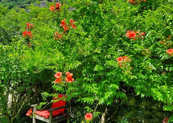 En Bord De Riviere * Bagnères-de-Luchon